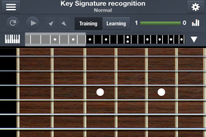 Fretboard on iPhone. This or the keyboard only shows in landscape view on the iPhone.